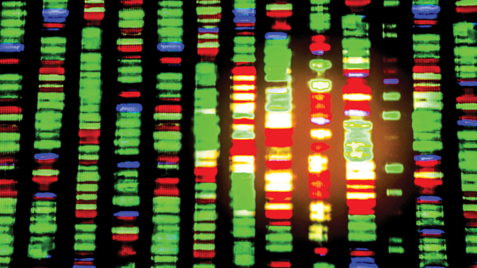 「アカデミアの論理」を壊し、創れ。 〜東北メディカル・メガバンク機構の研究広報DNA〜