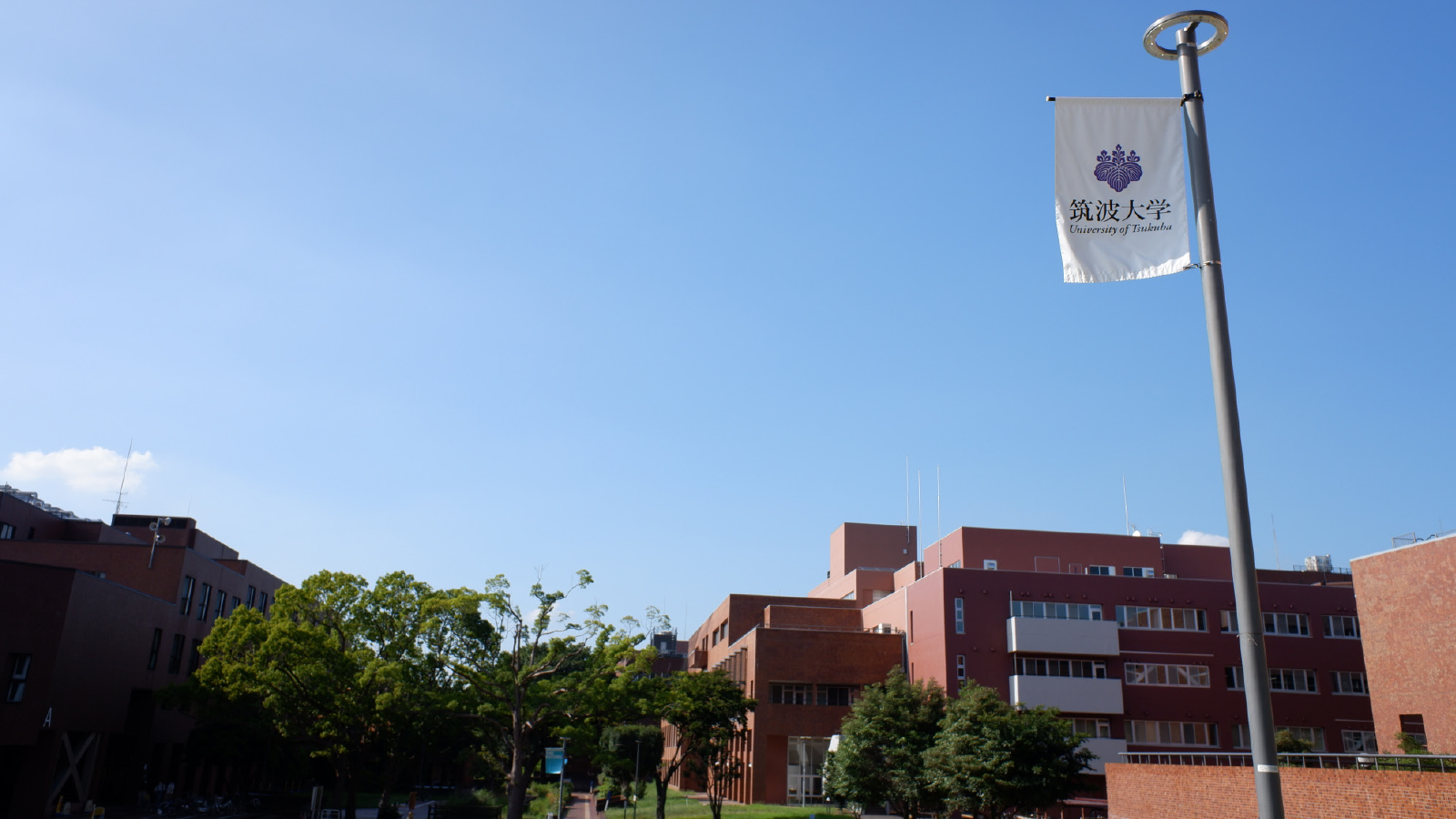 The University of Tsukuba Looks to the Future